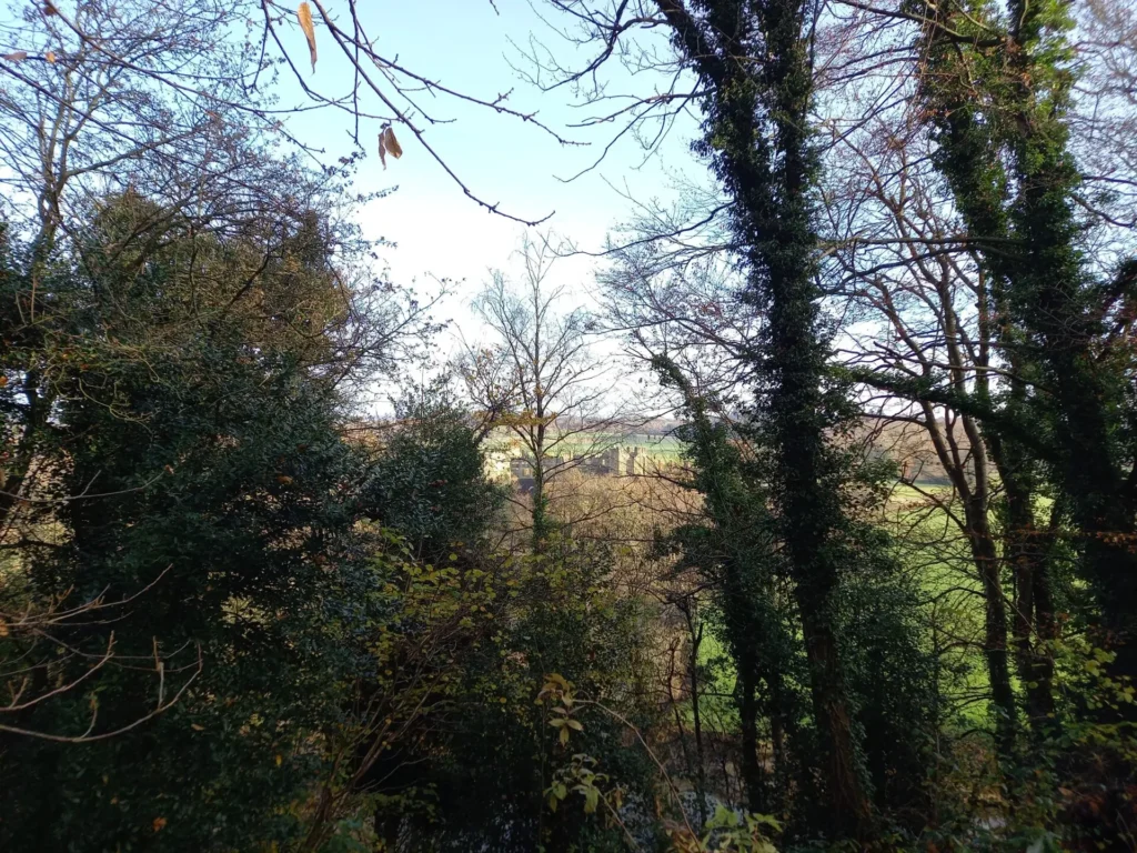 View of Midhurst Castle through the trees