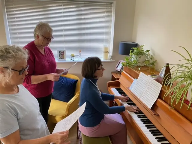 Singing for Fun