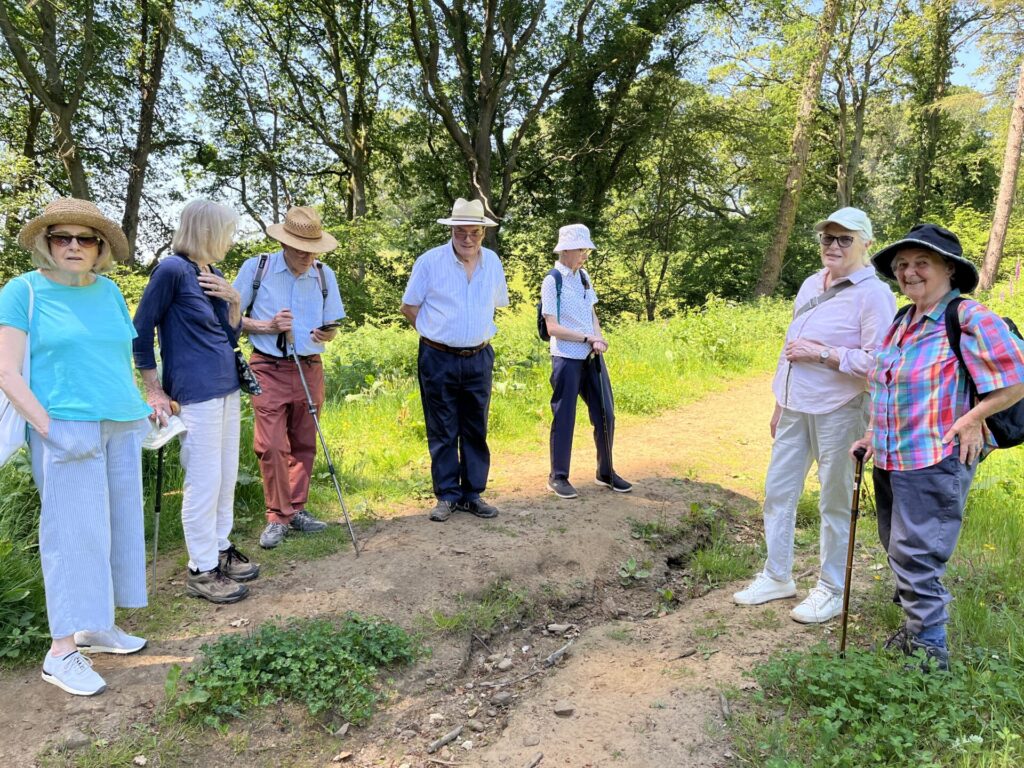 May 26 Dursford Wood